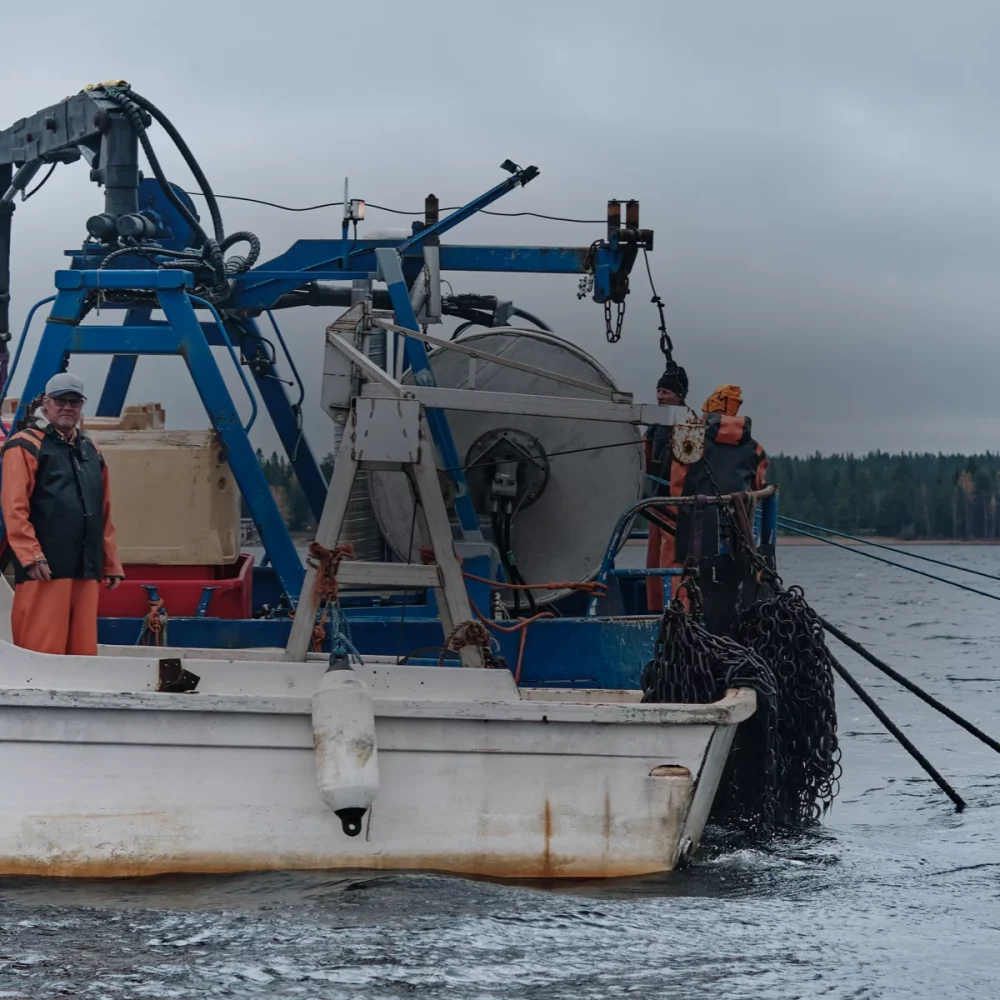 banner-quality-caviar-17